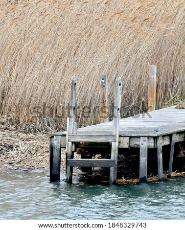 An old dock in winter beside a background of dry yellowed reeds.