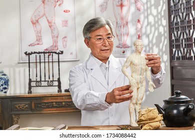 The Old Doctor Of Traditional Chinese Medicine Research Model Of The Human Body Acupuncture Point