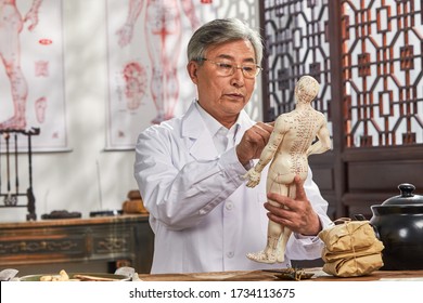 The Old Doctor Of Traditional Chinese Medicine Research Model Of The Human Body Acupuncture Point