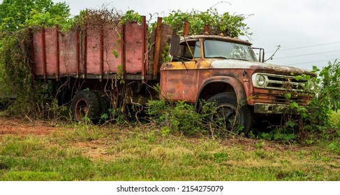 Old Dodge Work Truck Abandoned In A Field