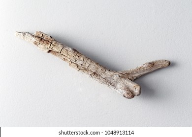 Old Driftwood From Sea On White Background