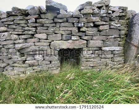 An old dry stone wall, with a, Cripple Hole, and long grass,  high on the moors above, Cornholme, Todmorden, UK