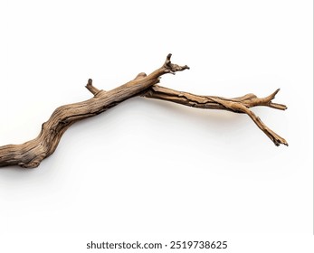 old dry tree branch isolated on white background - Powered by Shutterstock