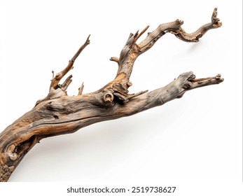 old dry tree branch isolated on white background - Powered by Shutterstock