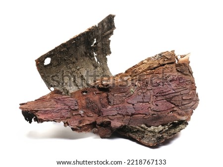 Old, dry tree rotten cherry bark roll isolated on white  