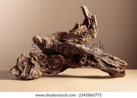 Old dry wooden snag on a beige background. Place your product in the foreground. Copy space.