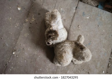 Old Dusty Toy Rabbit In Chernobyl Zone, Abandoned Things