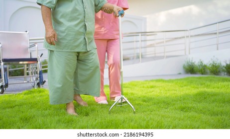 Old Elderly Asian Patient Or Pensioner People Walking By Walker With A Nurse, Relaxing, In Nursing Home In Garden Park. Senior Lifestyle Activity Recreation. Retirement. Health Care Physical Therapy.