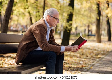 Old Elegant Man With Gray Hair Reading A Book Outside In Park