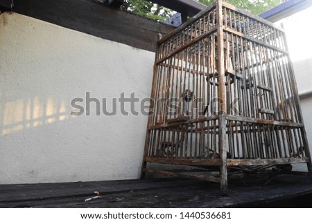 Old empty birdcage sitting outside on wooden