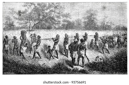 Old engraving of Group of slaves. Created by Neuville, published on Travel to upper reaches of the Nile and exploration of its sources by Sir Samuel White Baker (British explorer), Moscow, 1868