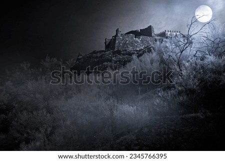 Old european castle in a foggy full moon night