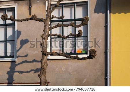 Similar – Image, Stock Photo UT I Only floating is more beautiful I Balcony