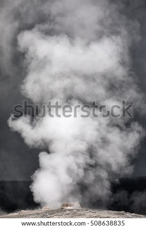 Image, Stock Photo Winter in Berlin Ice Frost