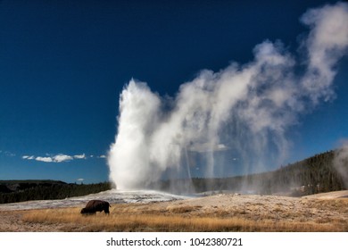 Old Faithful Geyser