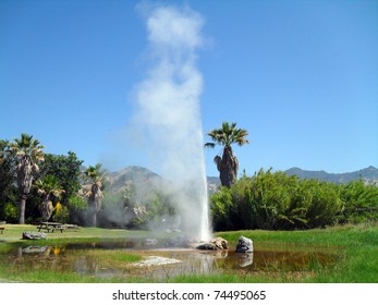 Old Faithful Geyser In Napa Valley