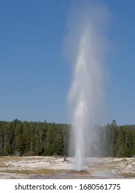 The Old Faithful  Yellostone National Par