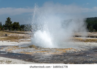 The Old Faithful  Yellostone National Par