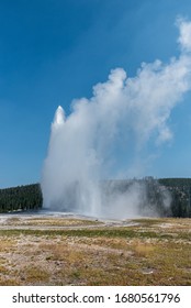 The Old Faithful  Yellostone National Par