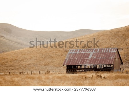 Old farm building, a shed, on a meadow  with dry yellow grasses, with rolling hills in the background. Abandoned farm building in the field, with metal roof with red peeling paint