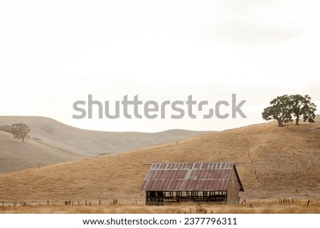 Old farm building, a shed, on a meadow  with dry yellow grasses, with rolling hills in the background. Abandoned farm building in the field, with metal roof with red peeling paint