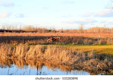 Old Farm Tractor In A Field Next To A Pond