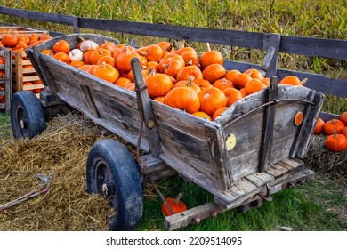 Old Farm Wagon Full Of Orange Pumpkins