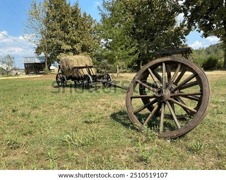old farm wagon in the park