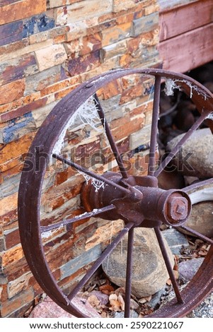 Old Farm Wagon Wheel with Frost