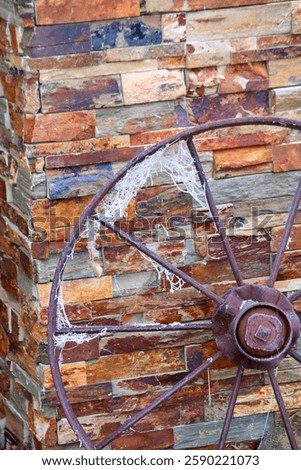 Old Farm Wagon Wheel with Frost