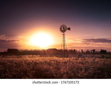 An old farm with a windmill at sunset on the eastern plains of Colorado. There are a few cows in the foreground near the windmill. The sky is very orange.