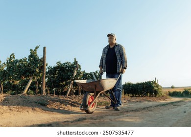 The old farmer is seen walking down a country road, pushing a wheelbarrow filled with farming tools. His weathered face and determined stride reflect a lifetime of experience in the field. - Powered by Shutterstock