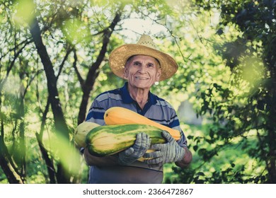 Old farmer in strawy hat holding ripe squashes at farmland garden in fall season. Homegrown produce and harvesting concept. - Powered by Shutterstock