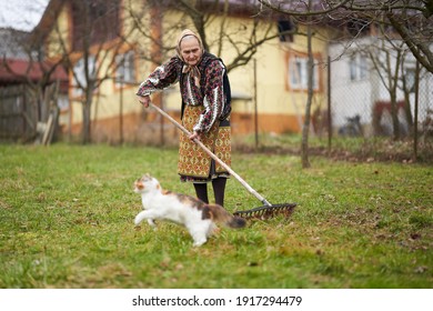 Old Farmer Woman In National Costume Spring Cleaning Her Backyard With A Rake