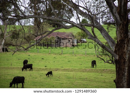 Old Farmhouse Country Scene