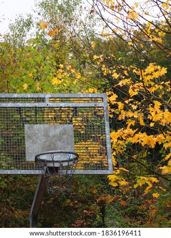Old fashioned metal basketball net and back board against tree background