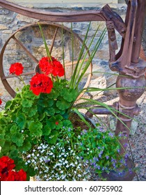 old fashioned water pump and geraniums