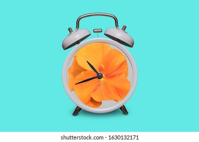 Old fashioned white alarm clock. Orange pansy instead of a dial