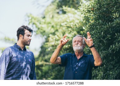 Old Father And Adult Son Are Relaxing In The Backyard