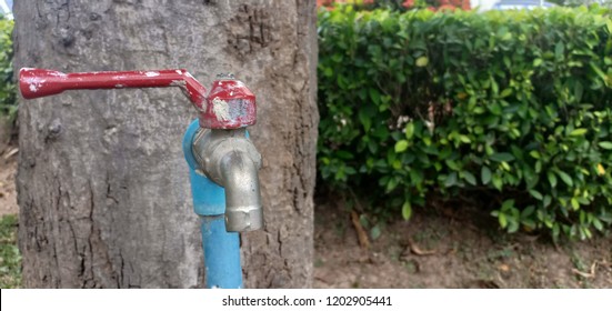 Old Faucet In The Garden, But Still Available.