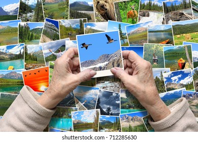 Old female hands hold travel photos of the canadian wildlife and landscapes. Remembering Canada's National Parks. Travel and tourism
