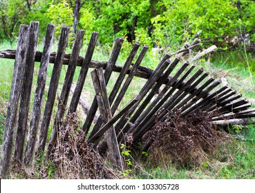 Old Fence