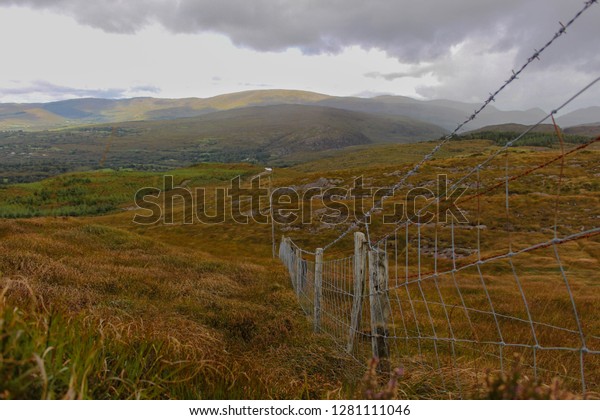 Old fence dividing\
the Irish countryside.