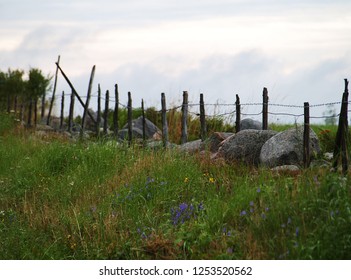 Old Fence At Öland, Flourish Meadow In Front
