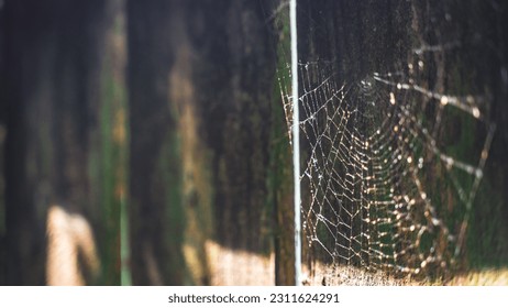 An old fence with moss growing on him with a spider web on it - Powered by Shutterstock