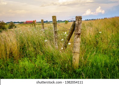 Old Fence On A Farm In Bluegrass Region Of Kentucky