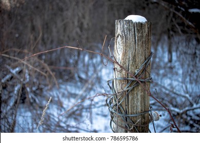 Old Fence Post