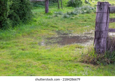 Old Fence Post In Wet Field