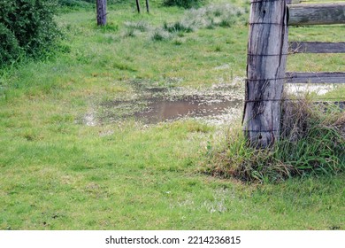 Old Fence Post In Wet Field