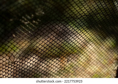 Old Fence. Rusty Steel Mesh. Fence In Garden. Details Of Countryside.